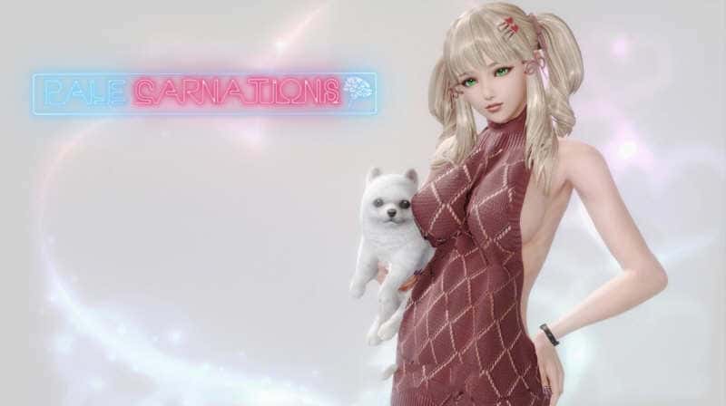 康乃馨俱乐部背景